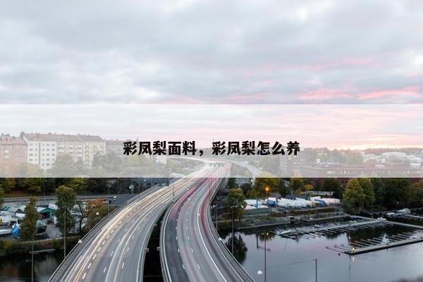 彩凤梨面料，彩凤梨怎么养