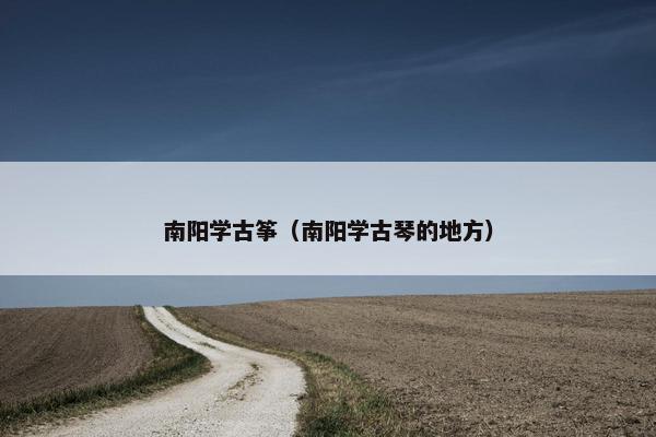 南阳学古筝（南阳学古琴的地方）