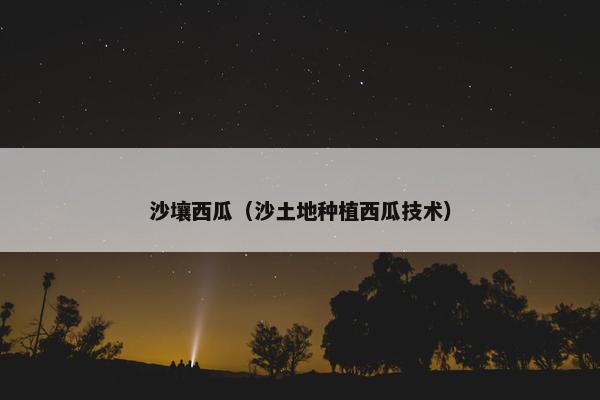 沙壤西瓜(沙土地种植西瓜技术) 沙壤西瓜(沙土地种植西瓜技术)