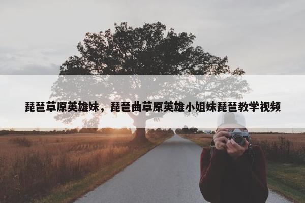 琵琶草原英雄妹，琵琶曲草原英雄小姐妹琵琶教学视频