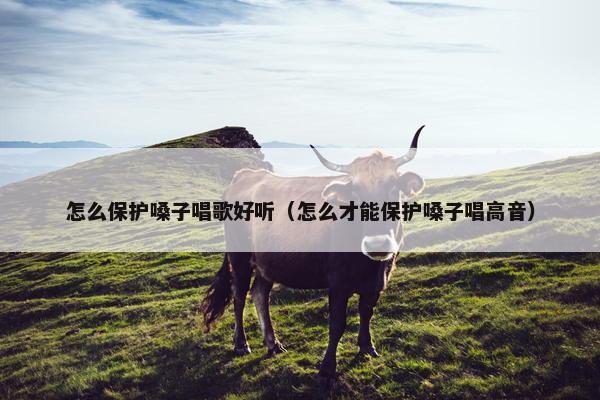 怎么保护嗓子唱歌好听（怎么才能保护嗓子唱高音）