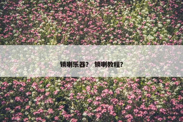 锁喇乐器? 锁喇教程? 锁喇乐器? 锁喇教程?