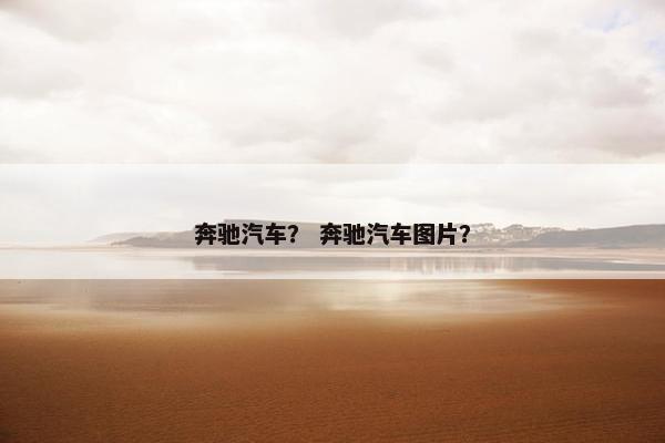 奔驰汽车？ 奔驰汽车图片？