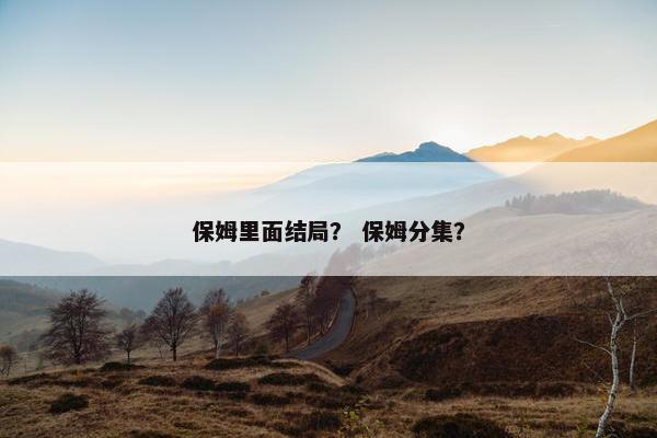 保姆里面结局？ 保姆分集？