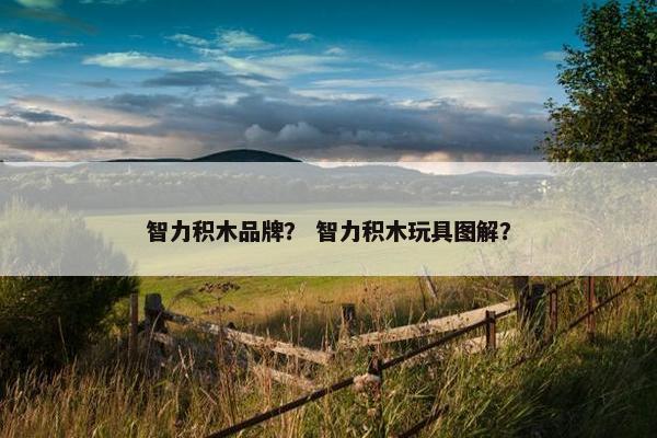 智力积木品牌？ 智力积木玩具图解？