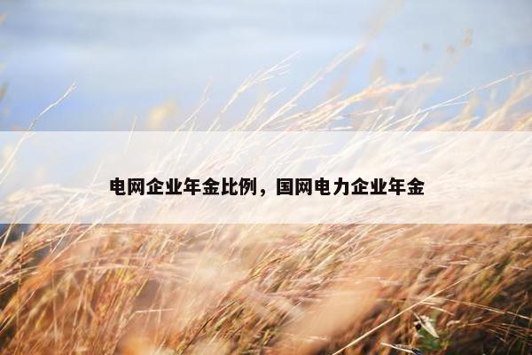 电网企业年金比例，国网电力企业年金