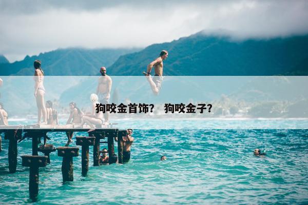 狗咬金首饰? 狗咬金子? 狗咬金首饰? 狗咬金子?