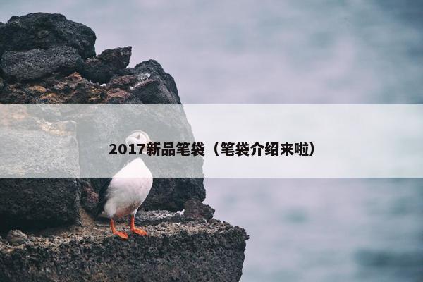 2017新品笔袋(笔袋介绍来啦) 2017新品笔袋(笔袋介绍来啦)