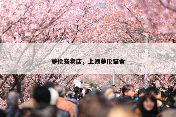 萝伦宠物店，上海萝伦猫舍