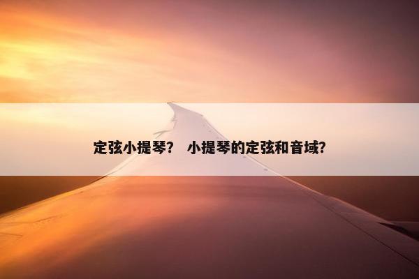 定弦小提琴？ 小提琴的定弦和音域？