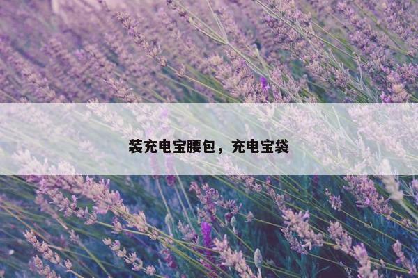 装充电宝腰包，充电宝袋