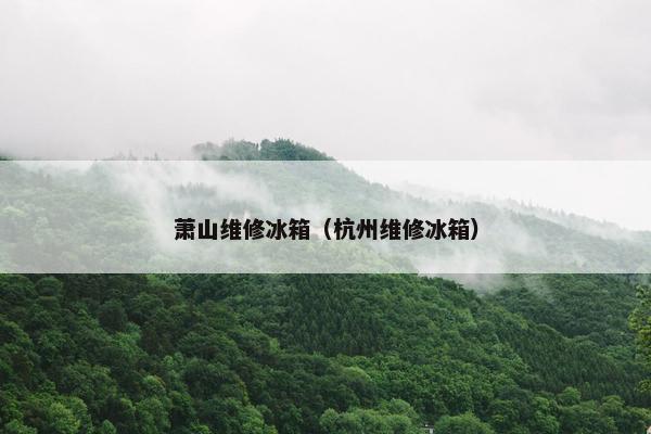 萧山维修冰箱（杭州维修冰箱）