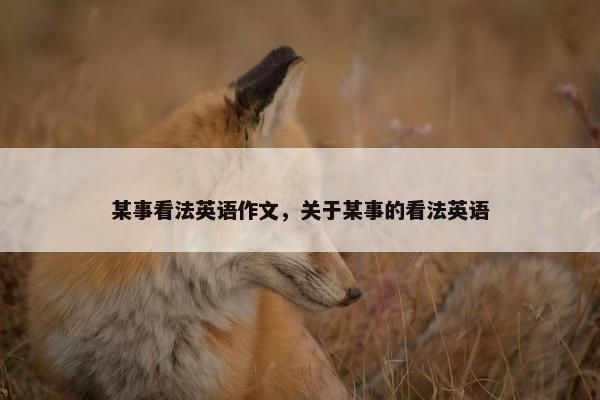 某事看法英语作文，关于某事的看法英语