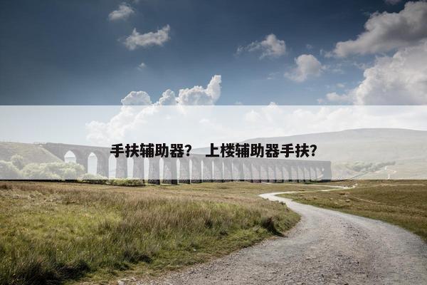 手扶辅助器? 上楼辅助器手扶? 手扶辅助器? 上楼辅助器手扶?