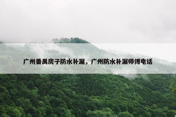 广州番禺房子防水补漏,广州防水补漏师傅电话 广州番禺房子防水补漏,广州防水补漏师傅电话