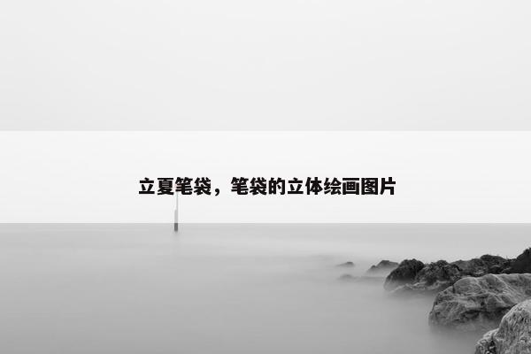立夏笔袋，笔袋的立体绘画图片