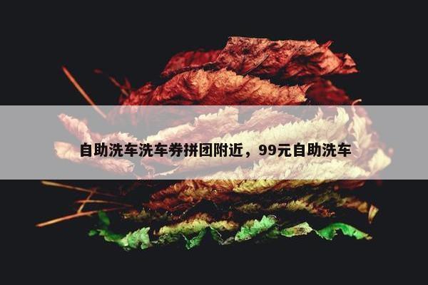 自助洗车洗车券拼团附近,99元自助洗车 自助洗车洗车券拼团附近,99元自助洗车