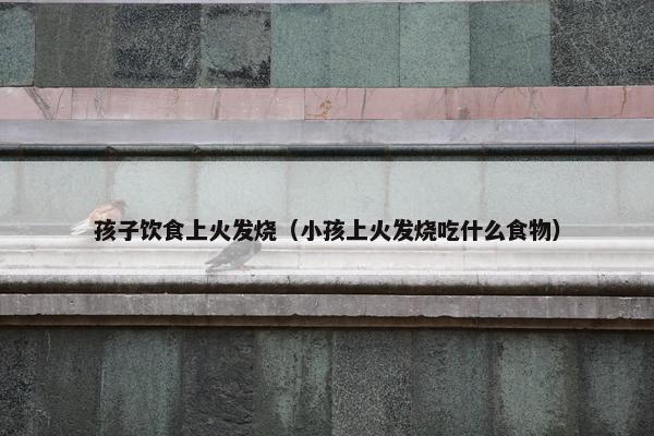 孩子饮食上火发烧（小孩上火发烧吃什么食物）