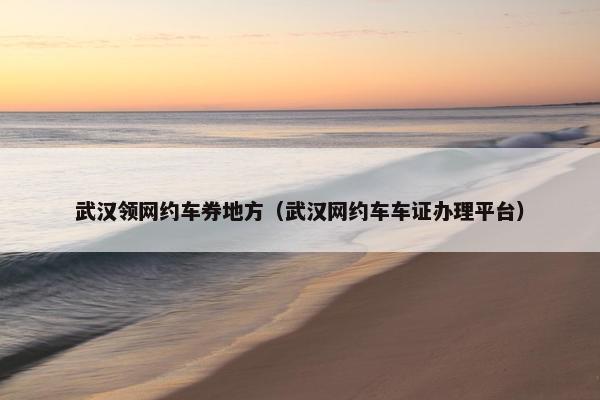 武汉领网约车券地方(武汉网约车车证办理平台) 武汉领网约车券地方(武汉网约车车证办理平台)