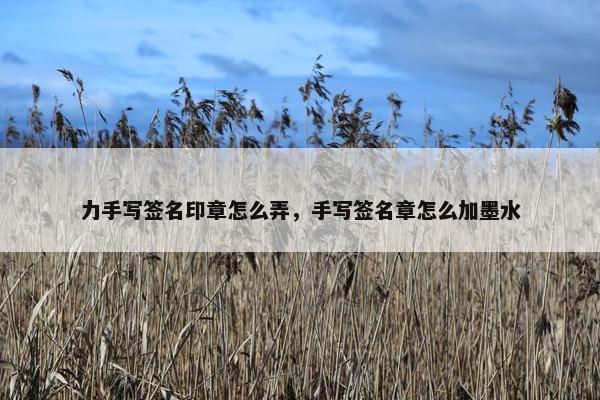 力手写签名印章怎么弄,手写签名章怎么加墨水 力手写签名印章怎么弄,手写签名章怎么加墨水