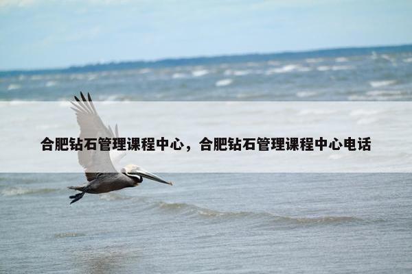 合肥钻石管理课程中心，合肥钻石管理课程中心电话