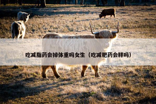 吃减脂药会掉体重吗女生(吃减肥药会胖吗) 吃减脂药会掉体重吗女生(吃减肥药会胖吗)