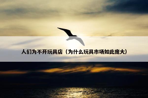 人们为不开玩具店(为什么玩具市场如此庞大) 人们为不开玩具店(为什么玩具市场如此庞大)