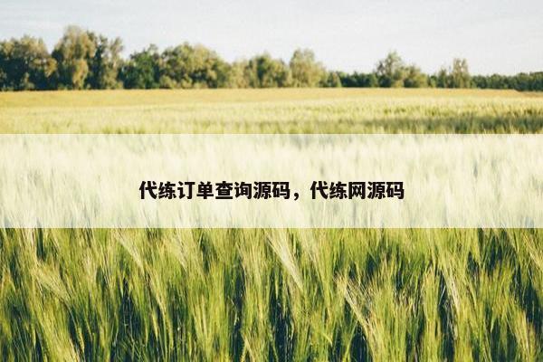 代练订单查询源码，代练网源码
