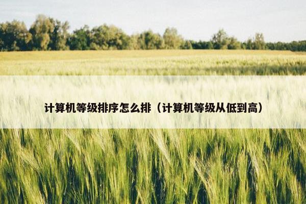 计算机等级排序怎么排（计算机等级从低到高）