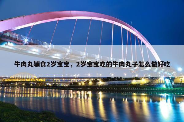 牛肉丸辅食2岁宝宝，2岁宝宝吃的牛肉丸子怎么做好吃