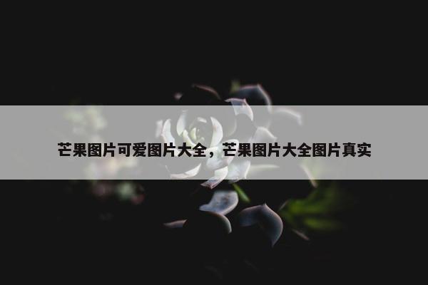 芒果图片可爱图片大全，芒果图片大全图片真实
