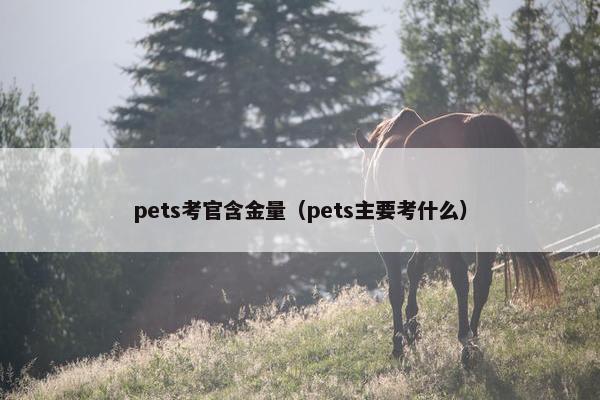 pets考官含金量（pets主要考什么）