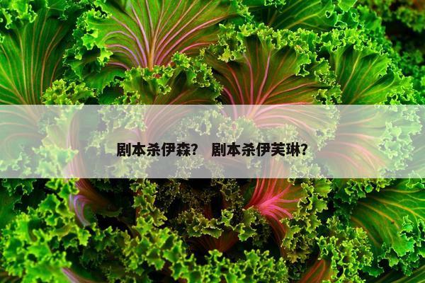 剧本杀伊森? 剧本杀伊芙琳? 剧本杀伊森? 剧本杀伊芙琳?