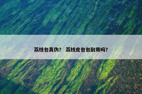 荔枝包真伪？ 荔枝皮包包耐用吗？