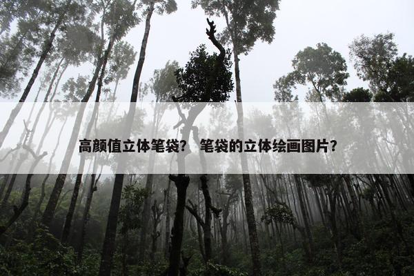 高颜值立体笔袋？ 笔袋的立体绘画图片？