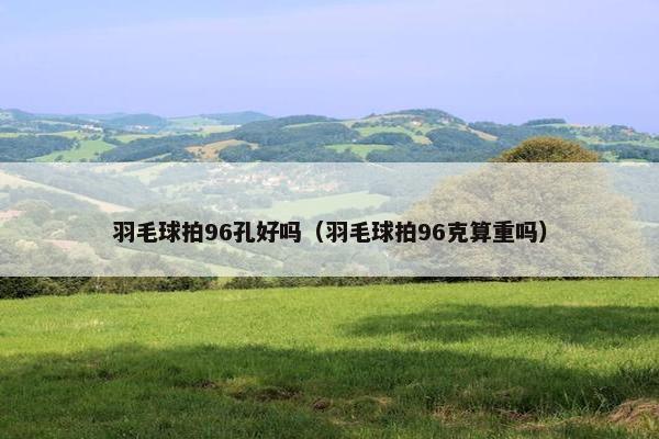 羽毛球拍96孔好吗（羽毛球拍96克算重吗）