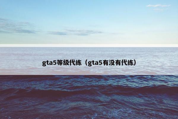 gta5等级代练（gta5有没有代练）