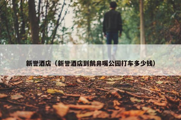 新誉酒店（新誉酒店到鹅鼻嘴公园打车多少钱）