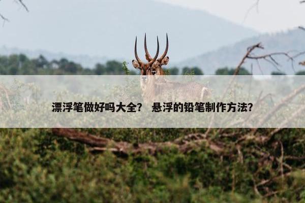 漂浮笔做好吗大全? 悬浮的铅笔制作方法? 漂浮笔做好吗大全? 悬浮的铅笔制作方法?