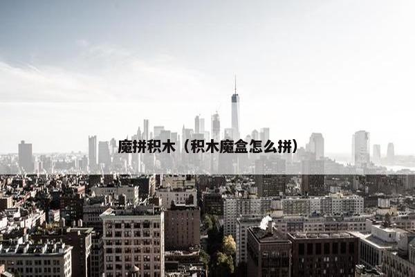 魔拼积木（积木魔盒怎么拼）