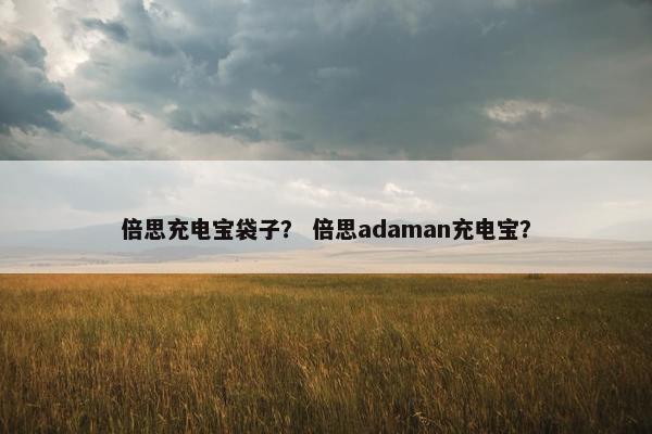 倍思充电宝袋子? 倍思adaman充电宝? 倍思充电宝袋子? 倍思adaman充电宝?