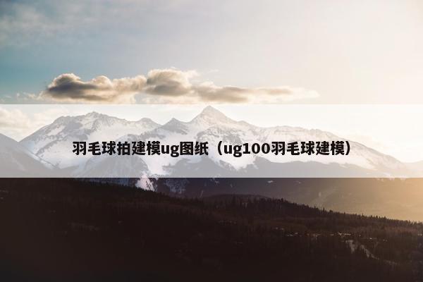 羽毛球拍建模ug图纸（ug100羽毛球建模）