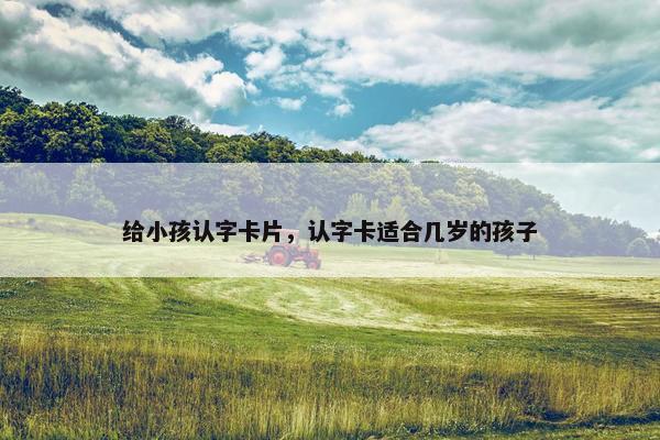 给小孩认字卡片,认字卡适合几岁的孩子 给小孩认字卡片,认字卡适合几岁的孩子