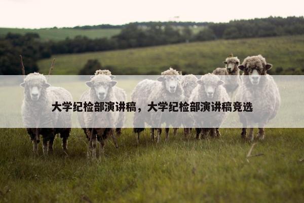 大学纪检部演讲稿，大学纪检部演讲稿竞选