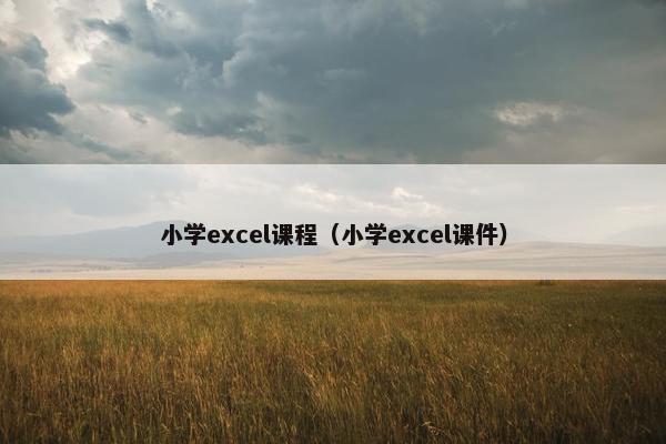 小学excel课程（小学excel课件）
