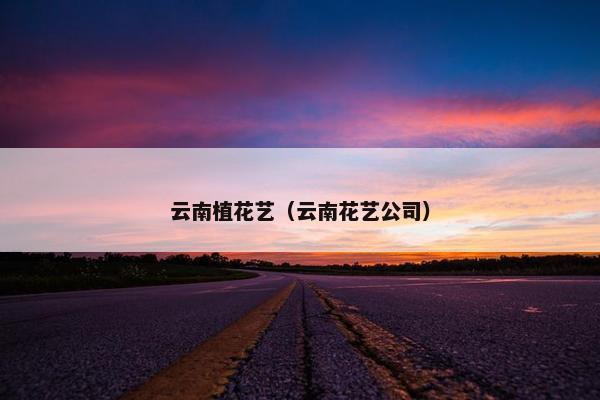 云南植花艺（云南花艺公司）