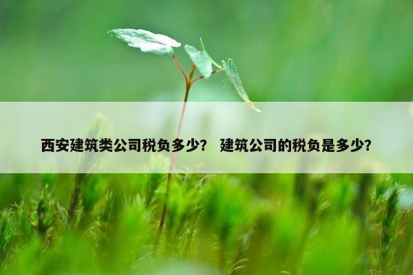 西安建筑类公司税负多少? 建筑公司的税负是多少? 西安建筑类公司税负多少? 建筑公司的税负是多少?