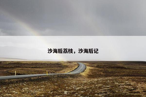 沙海后荔枝，沙海后记