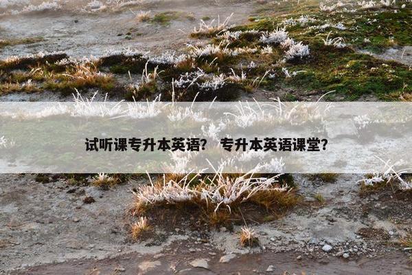 试听课专升本英语？ 专升本英语课堂？