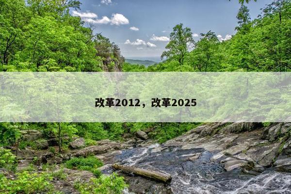 改革2012,改革2025 改革2012,改革2025